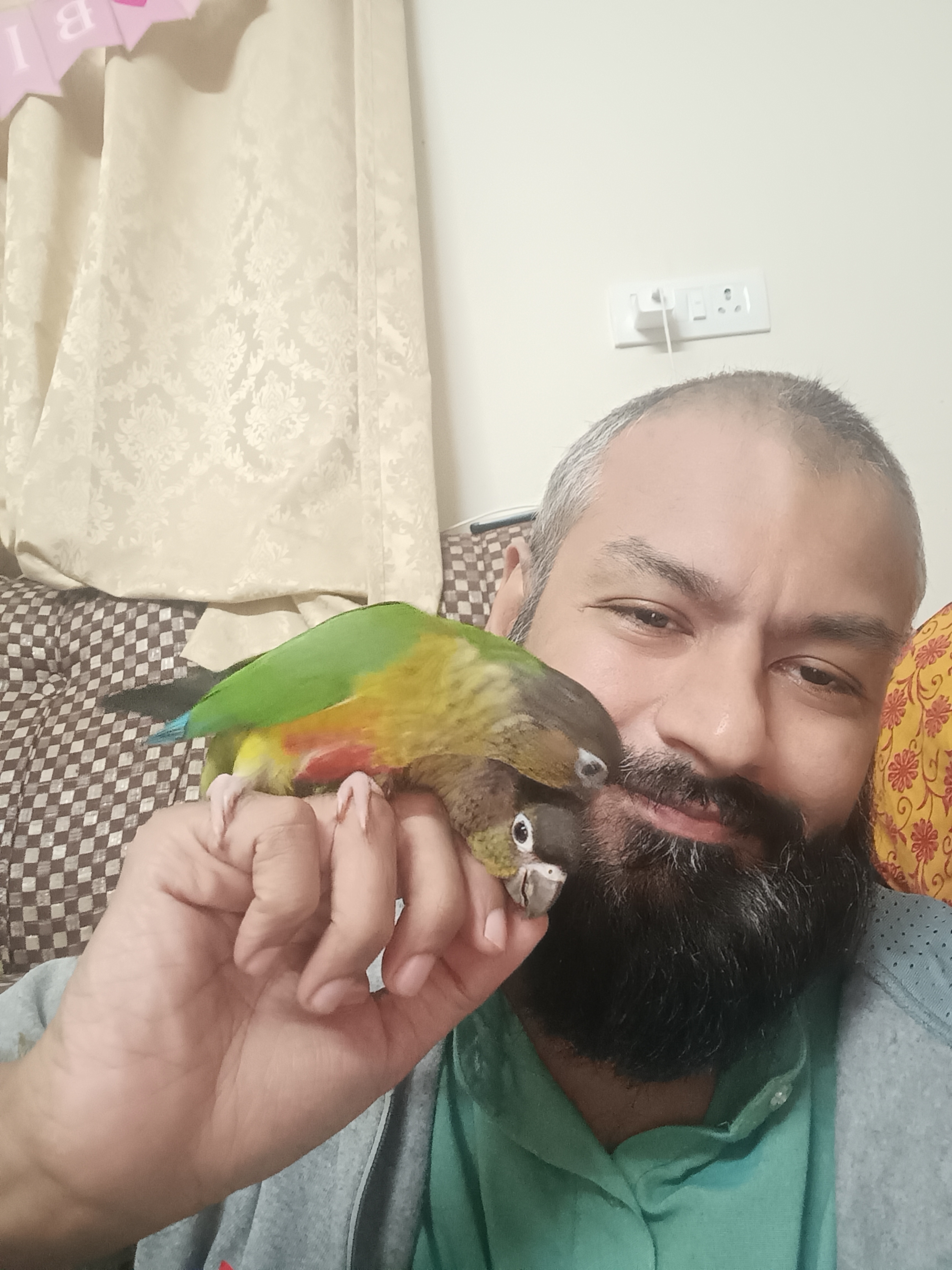 Pet
