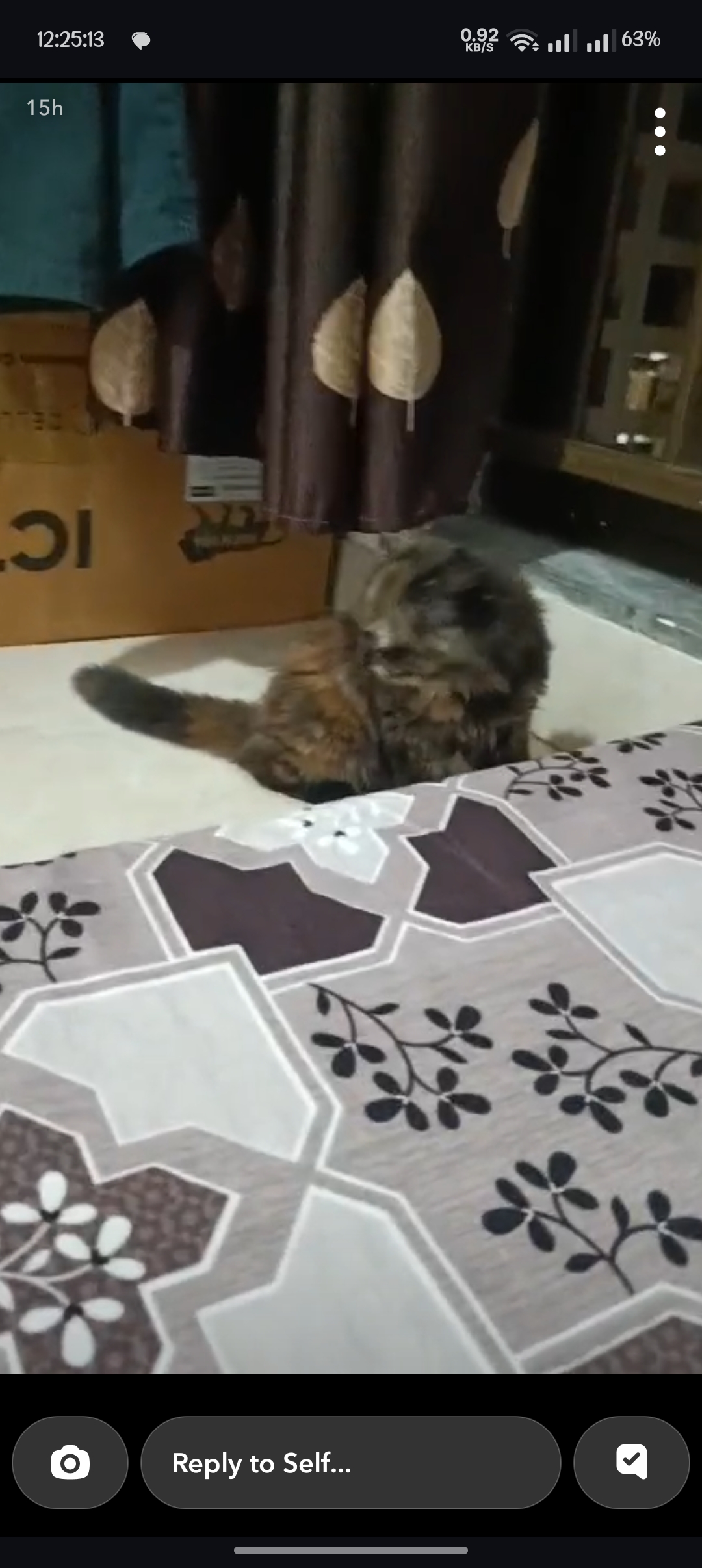 Cats