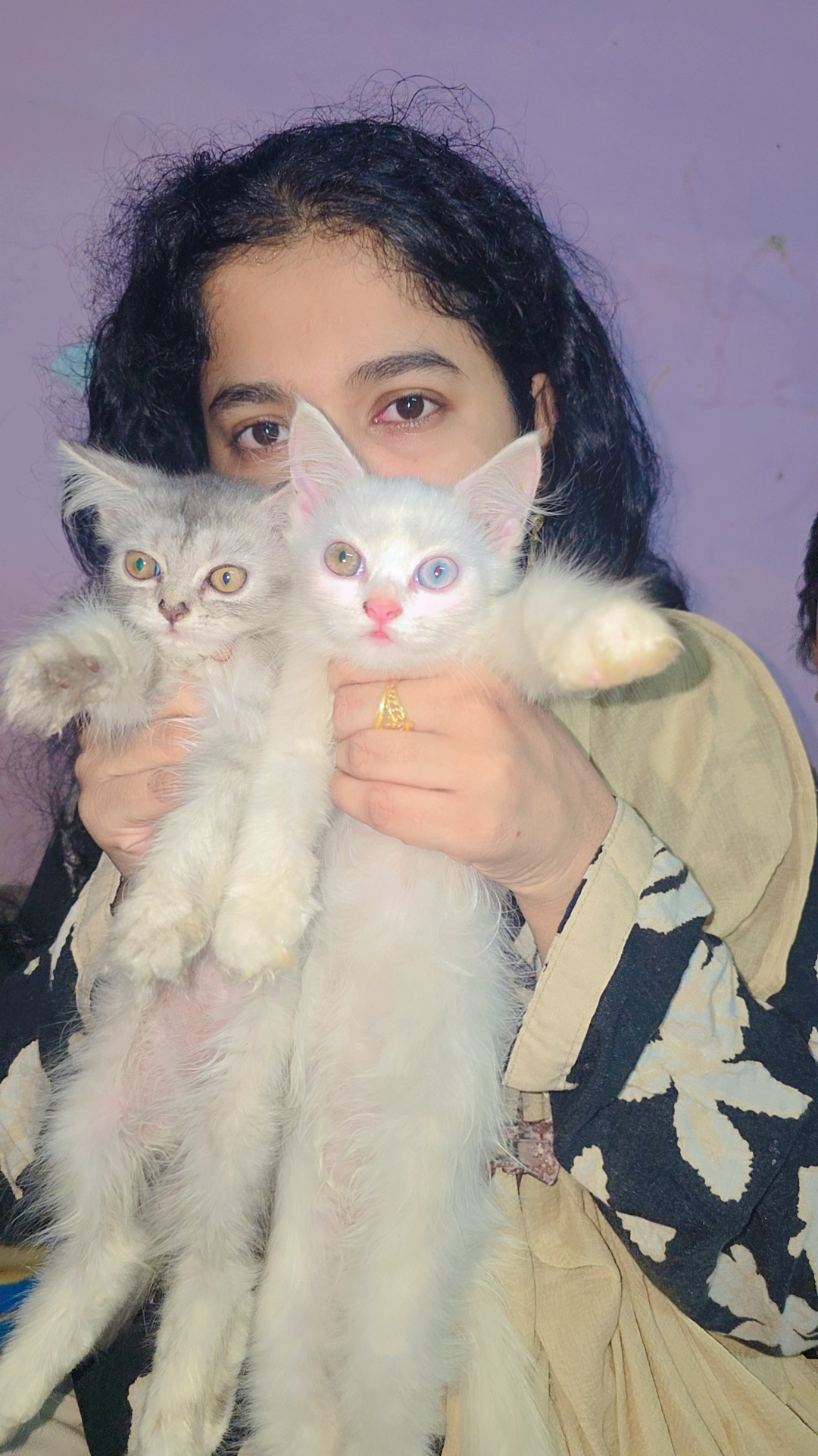 Cats