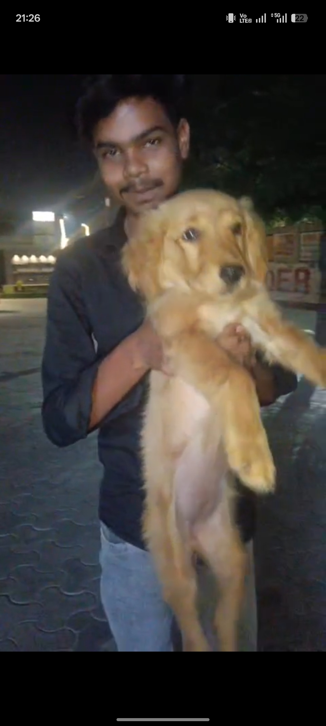 Pet