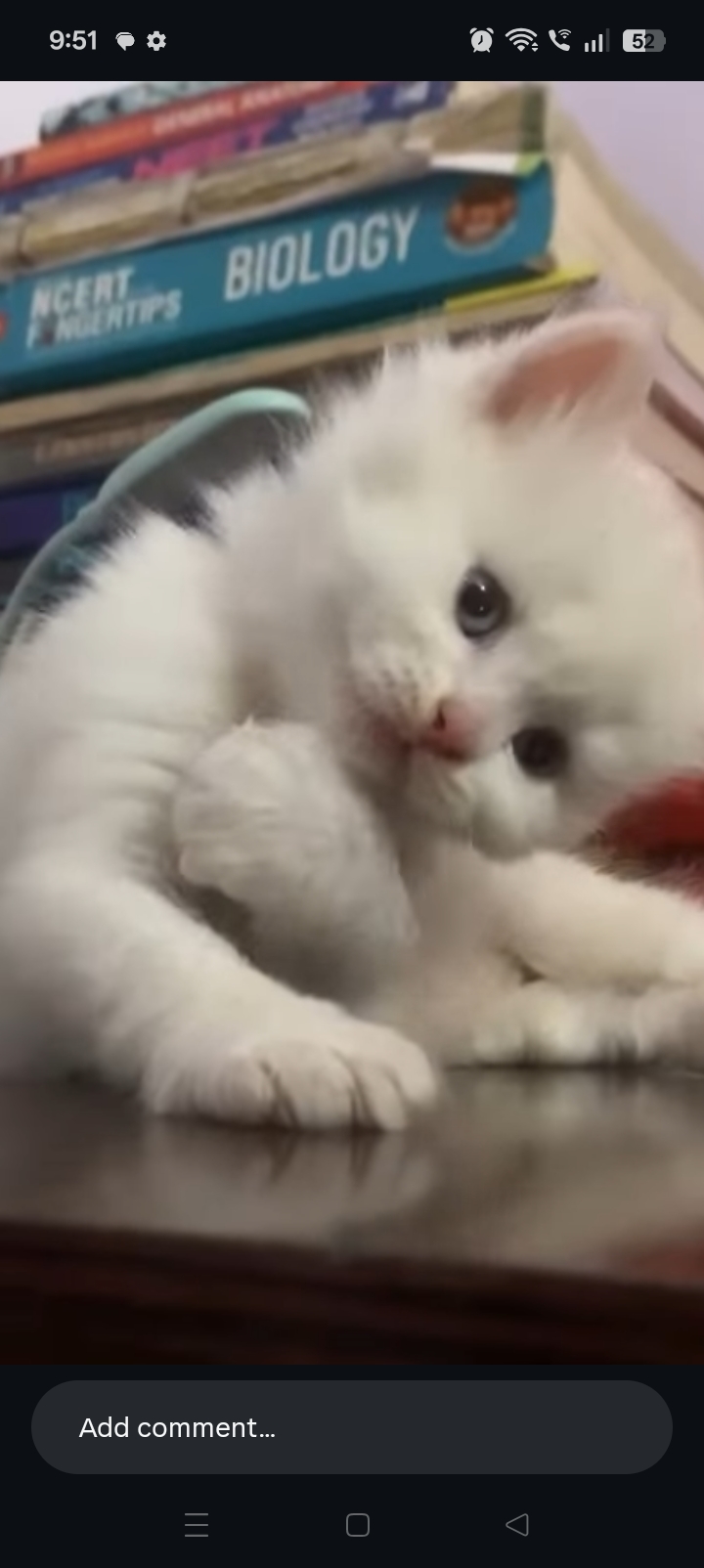 Pet