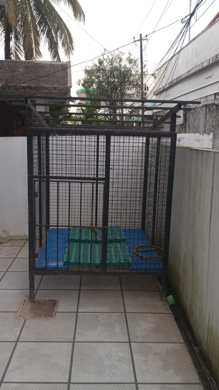 MARY ASOONTHA ANITTA 