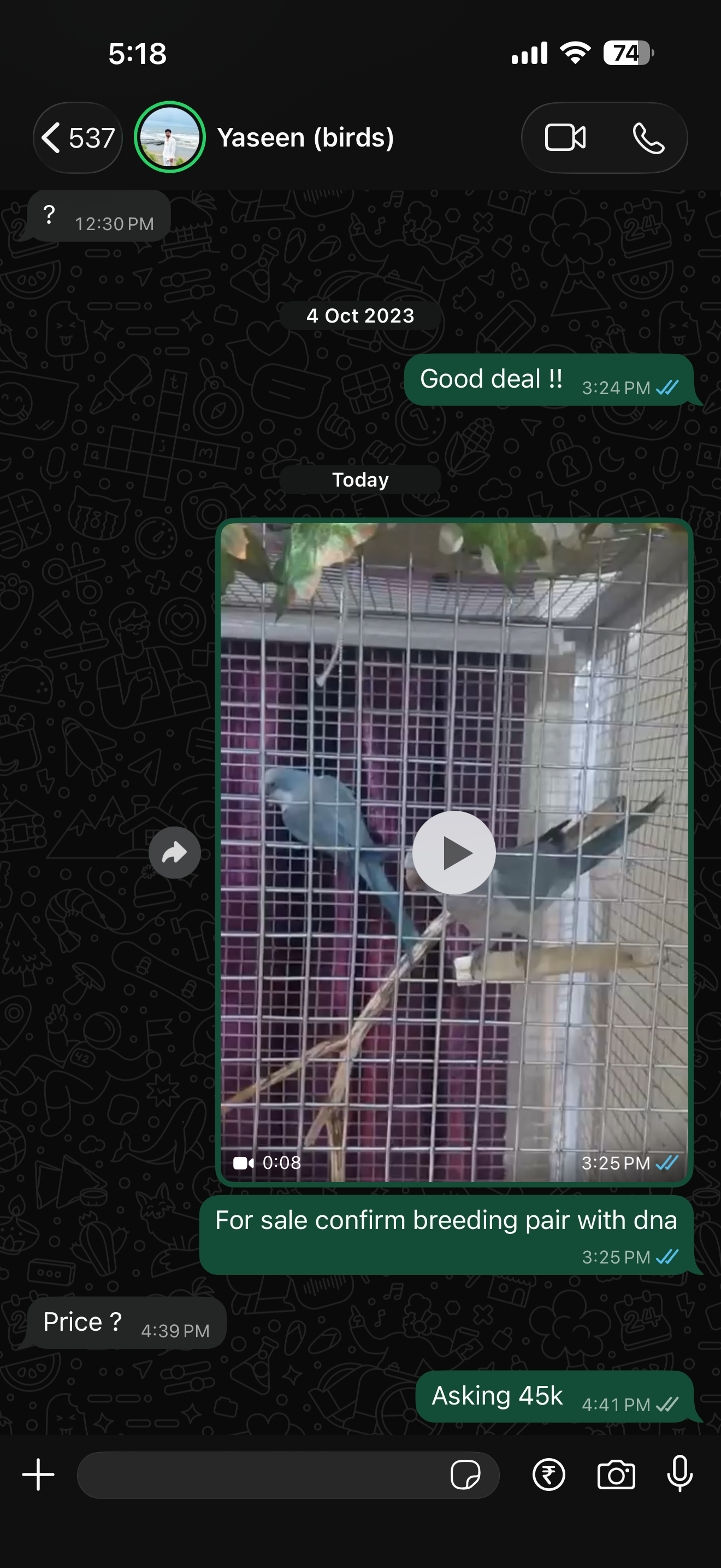 Birds