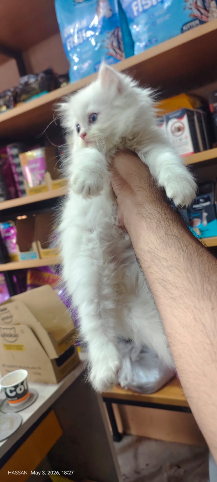 Pet