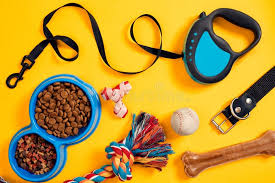 Used pet accessories