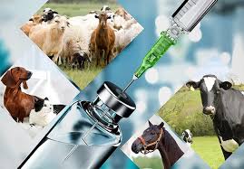 Veterinary medicines